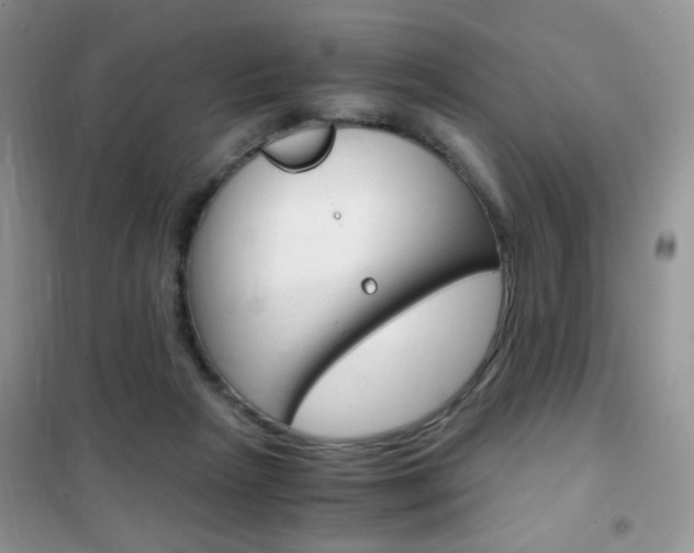 X0000102340265200808010920