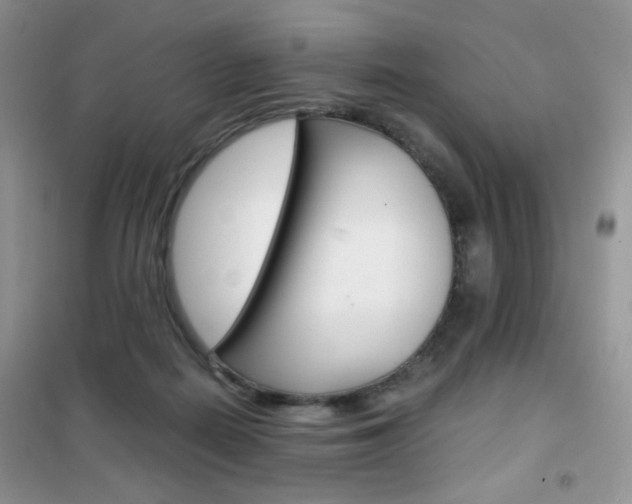 X0000102340266200808010920