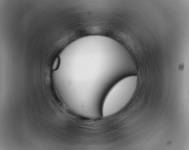 X0000102340267200808010920