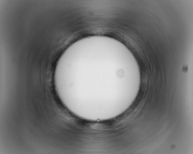X0000102340268200808010920
