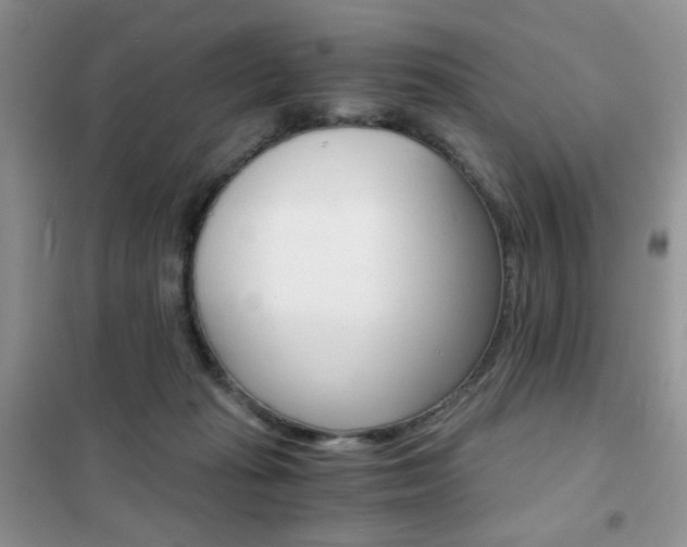 X0000102340269200808010920