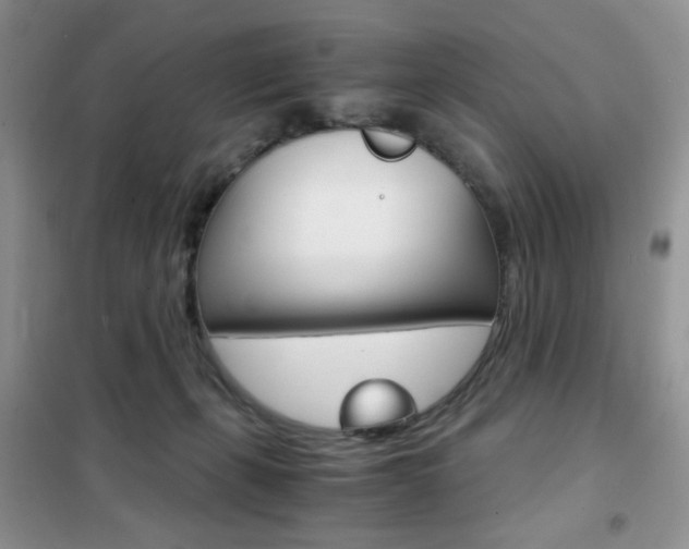 X0000102340271200808010920