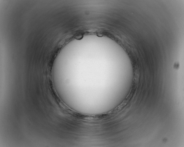 X0000102340272200808010920