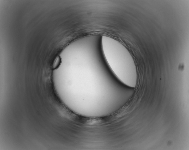 X0000102340274200808010920
