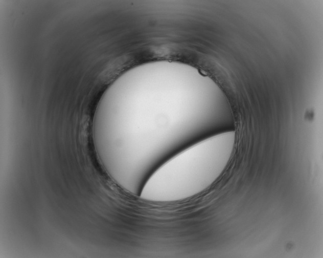 X0000102340275200808010920