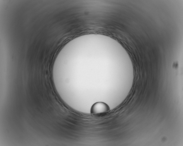 X0000102340276200808010920