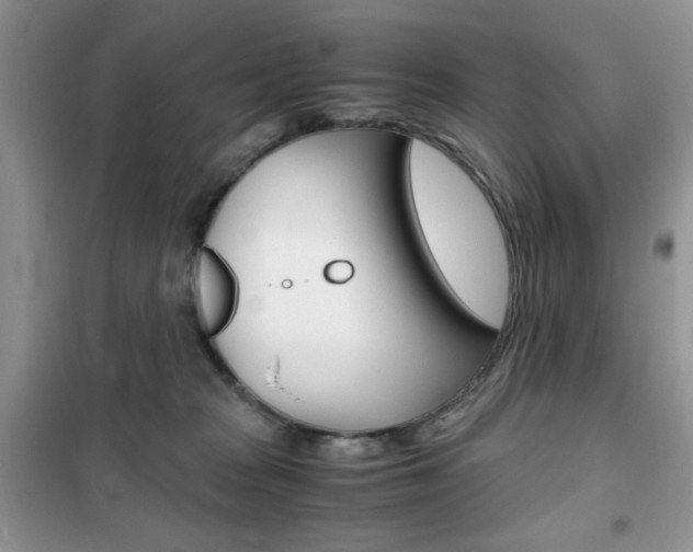 X0000102340277200808010920