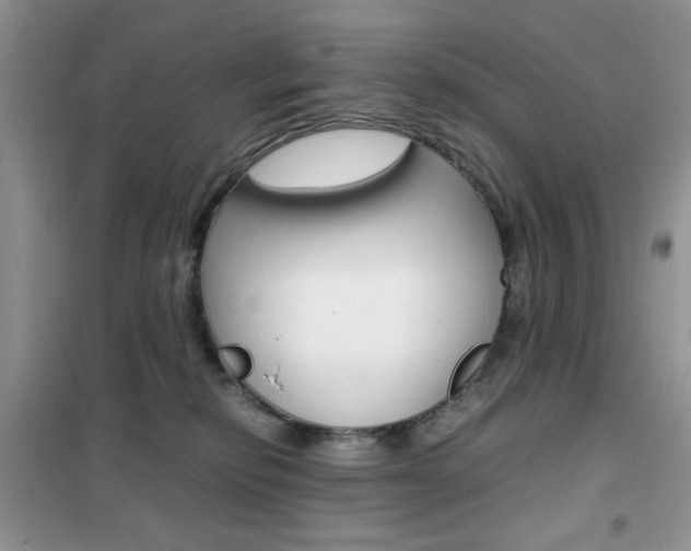 X0000102340278200808010920