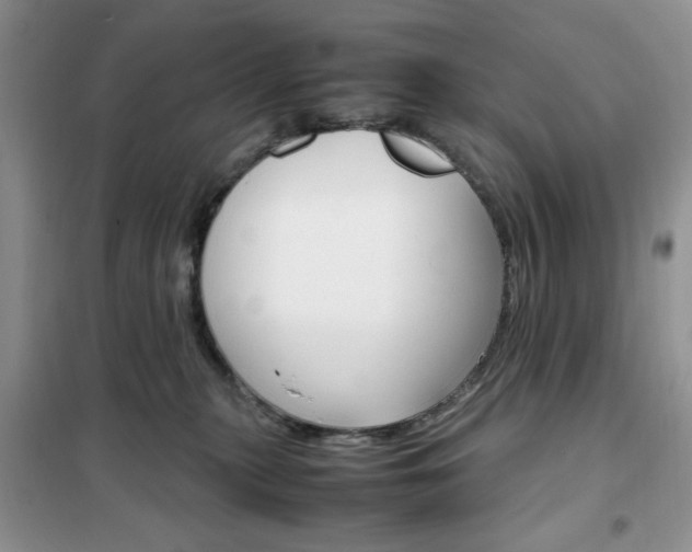 X0000102340279200808010920