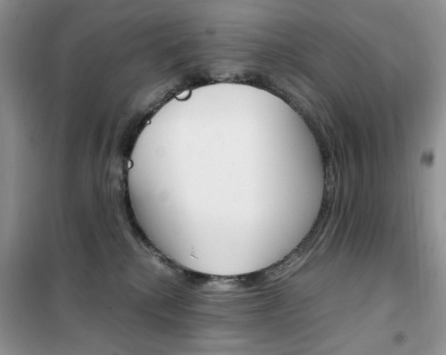 X0000102340280200808010920