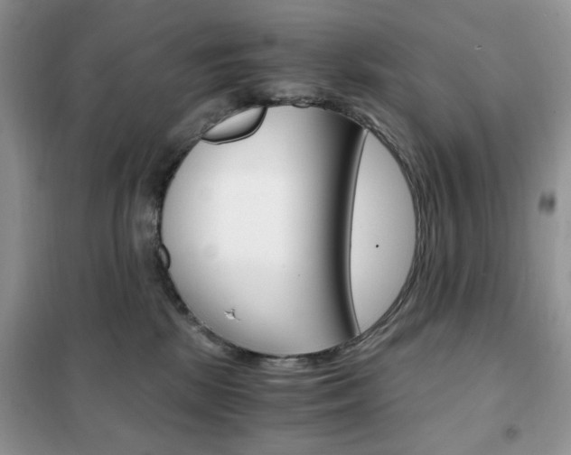 X0000102340281200808010920