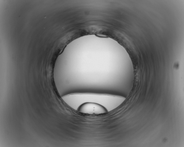 X0000102340283200808010920