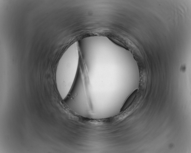 X0000102340284200808010920