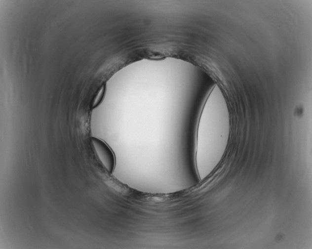 X0000102340285200808010920