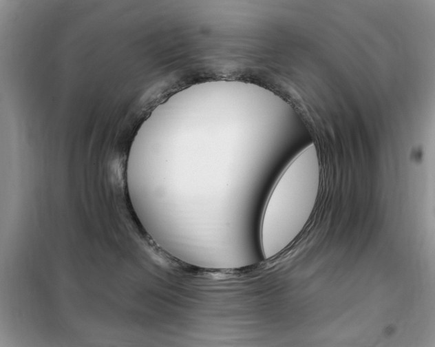 X0000102340286200808010920