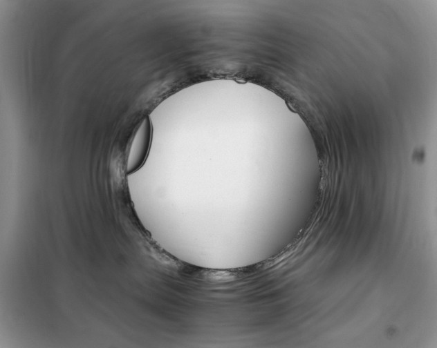 X0000102340287200808010920