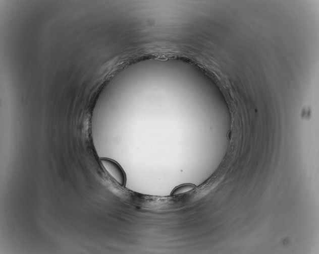X0000102340288200808010920