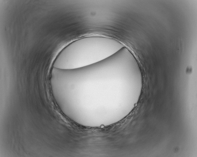 X0000102340289200808010919