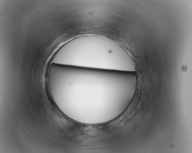 X0000102340290200808010919