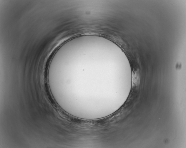 X0000102340291200808010919