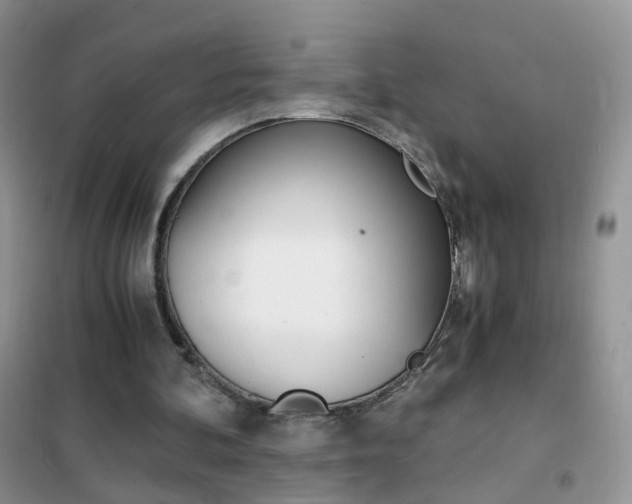 X0000102340292200808010919