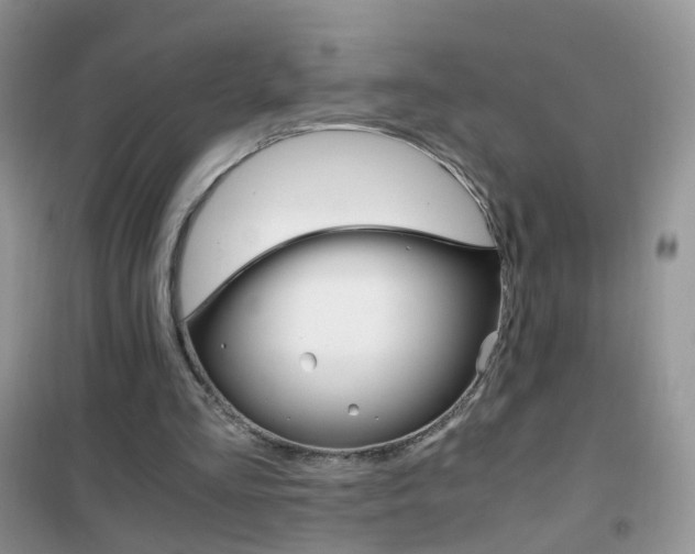 X0000102340293200808010919