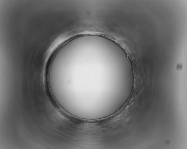 X0000102340296200808010919