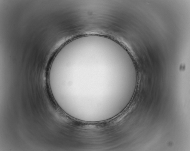 X0000102340298200808010919