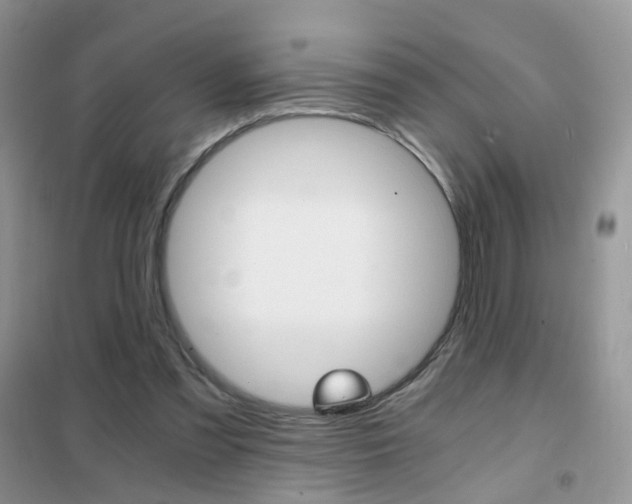 X0000102340301200808010919