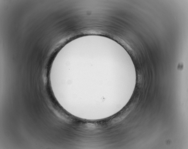 X0000102340302200808010919