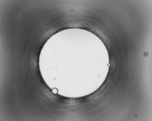 X0000102340305200808010919