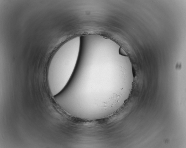 X0000102340306200808010919