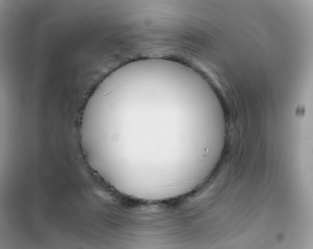 X0000102340307200808010919
