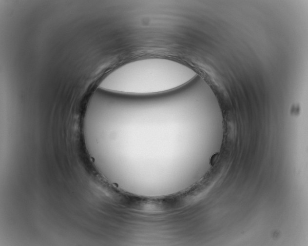 X0000102340308200808010919