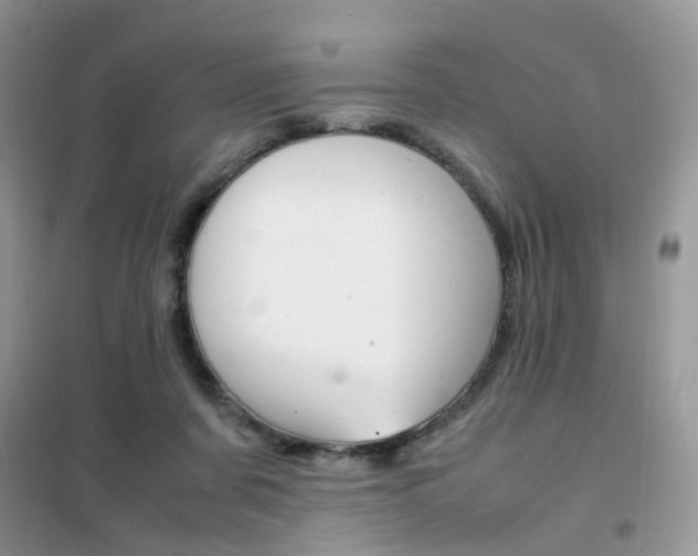 X0000102340311200808010919