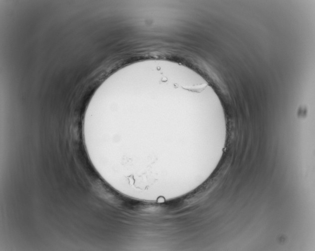 X0000102340313200808010919