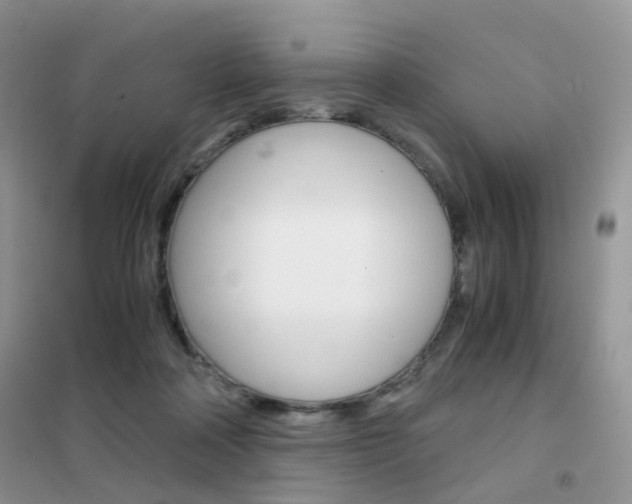 X0000102340314200808010919