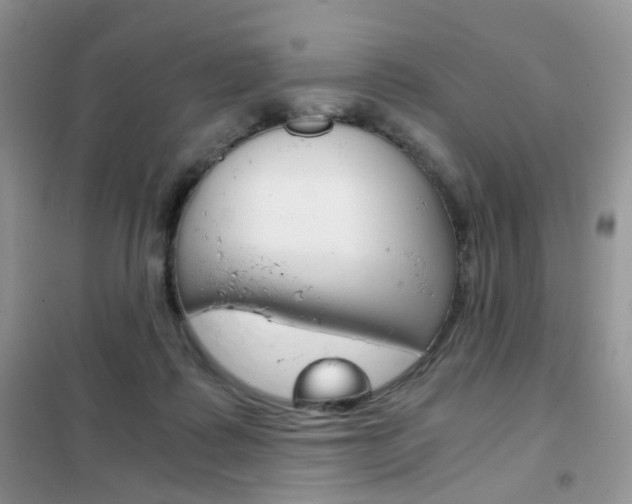 X0000102340315200808010919