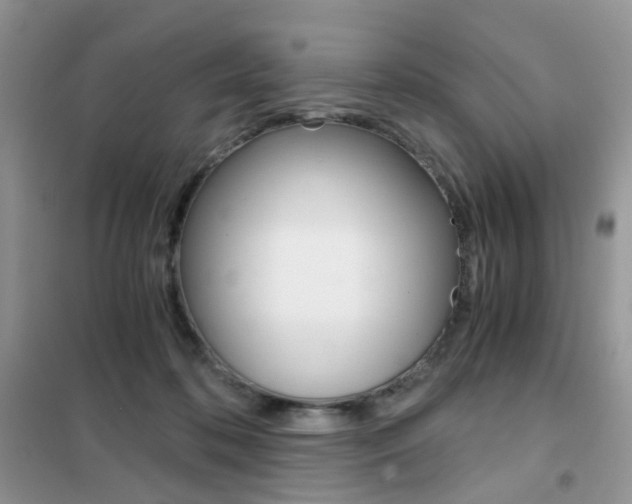X0000102340316200808010919