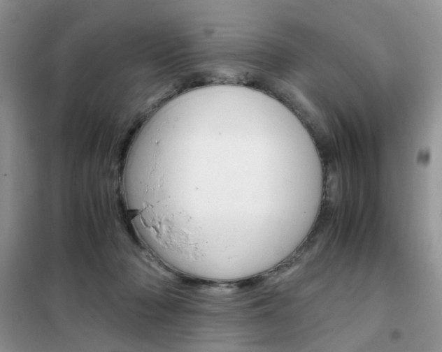 X0000102340318200808010919