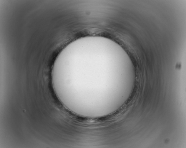 X0000102340319200808010919