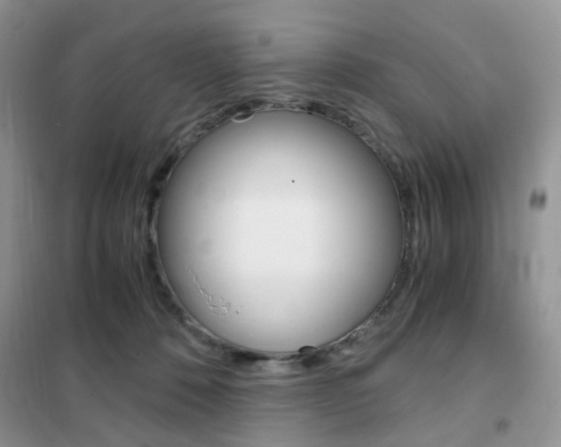 X0000102340320200808010919