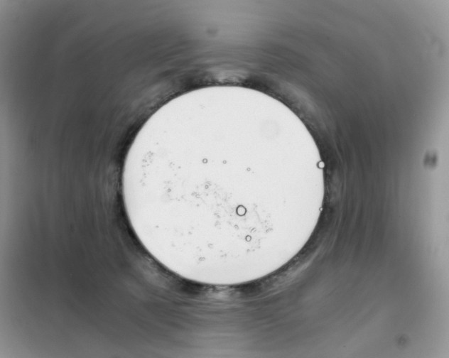 X0000102340321200808010919