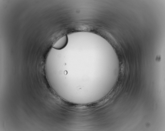 X0000102340322200808010919