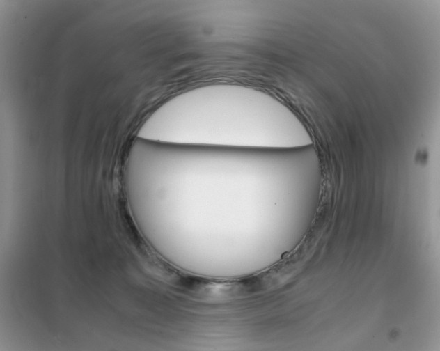 X0000102340323200808010919