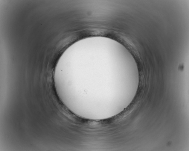 X0000102340325200808010919