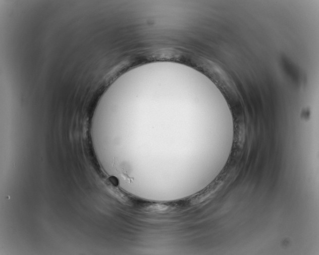 X0000102340326200808010919