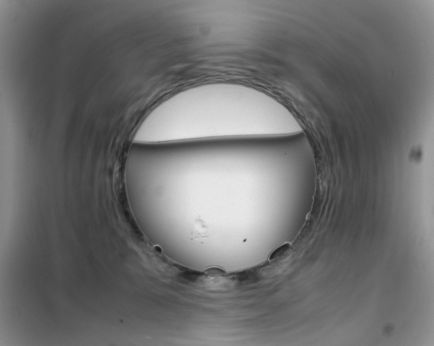 X0000102340327200808010919
