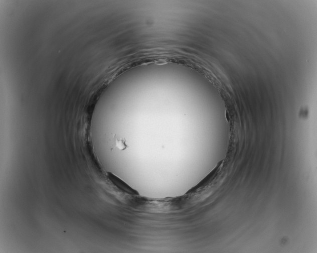 X0000102340328200808010919