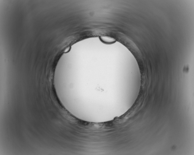 X0000102340329200808010918